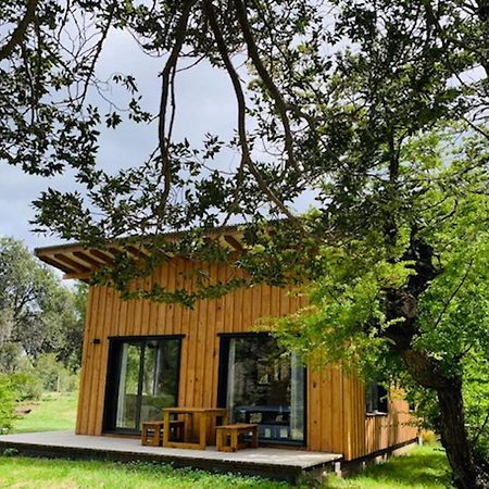 Kingfisher De Los Andes Villa Meliquina Bagian luar foto
