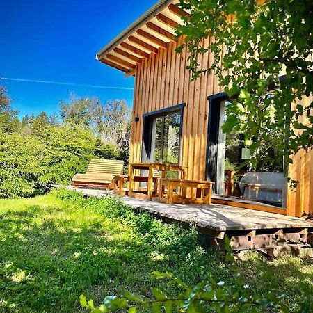Kingfisher De Los Andes Villa Meliquina Bagian luar foto