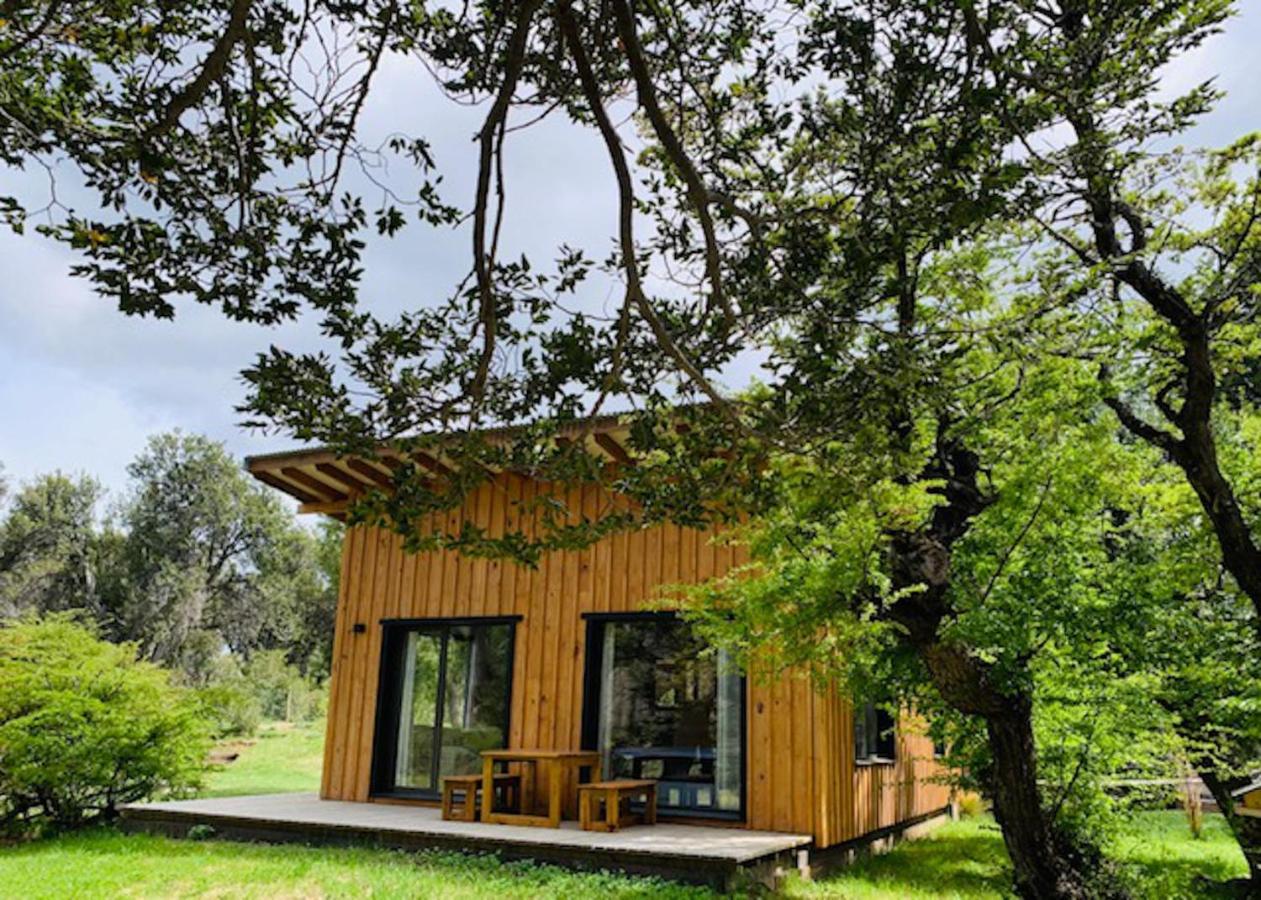 Kingfisher De Los Andes Villa Meliquina Bagian luar foto