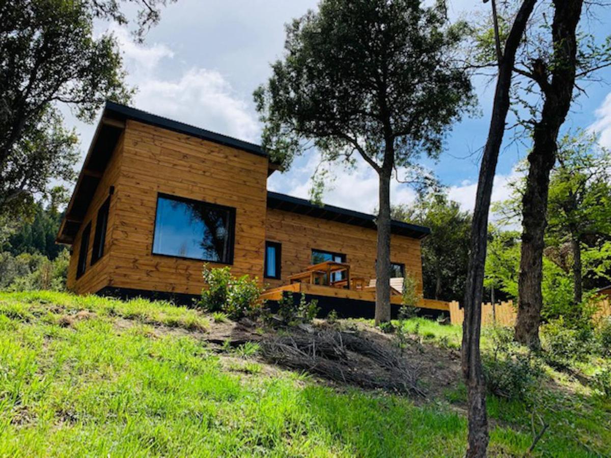 Kingfisher De Los Andes Villa Meliquina Bagian luar foto