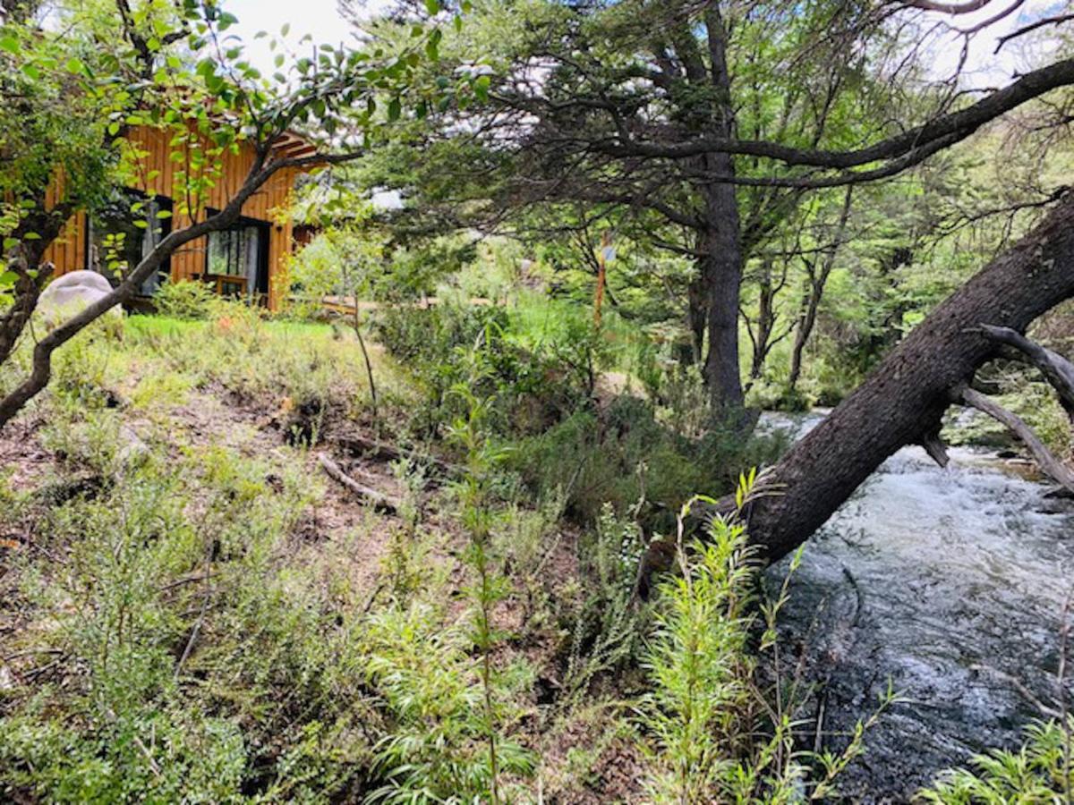 Kingfisher De Los Andes Villa Meliquina Bagian luar foto
