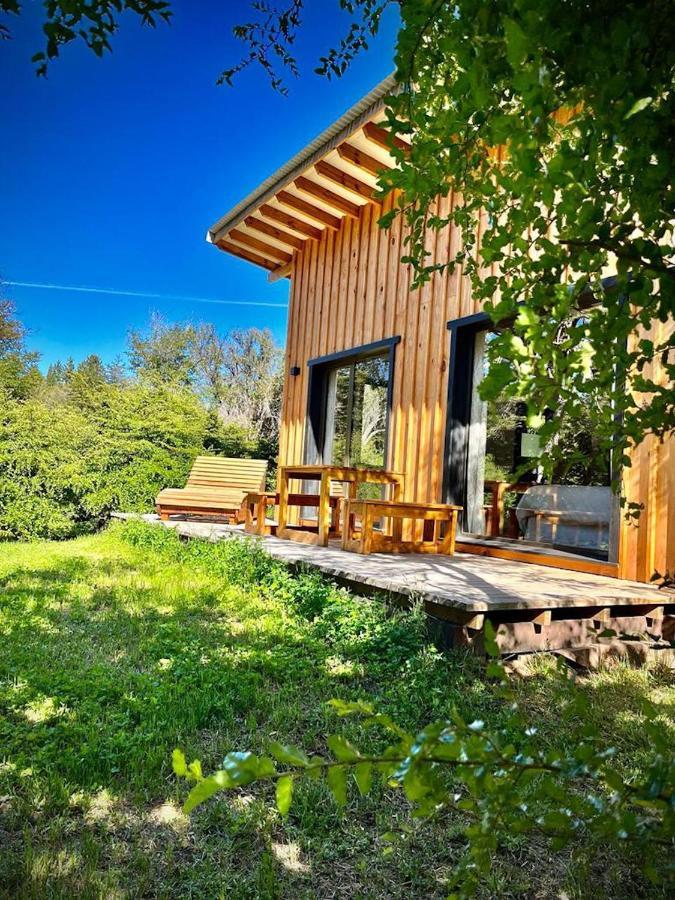 Kingfisher De Los Andes Villa Meliquina Bagian luar foto